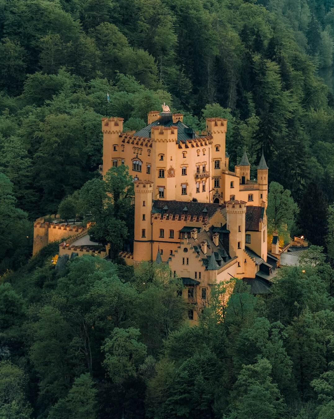 neuschwanstein castle on hill