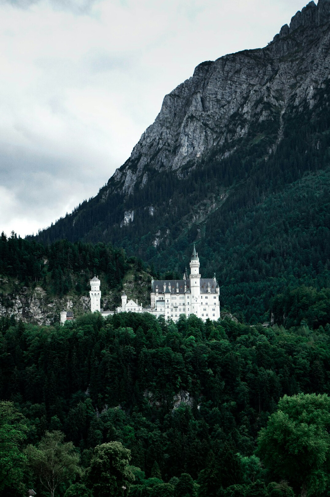 Neuschwanstein Castle surrounded by forested mountains